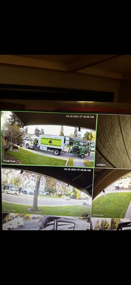 Reliable residential landscaping in Visalia, CA - Shipman Tree Service