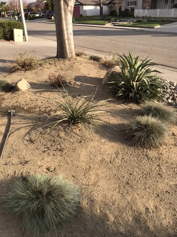 Local yard maintenance experts serving Visalia, CA - Shipman Tree Service