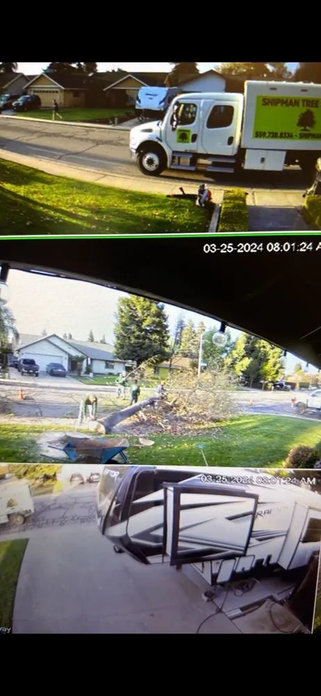 Reliable lawn care service in Visalia, CA by Shipman Tree Service