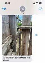 Reliable yard cleanup service in Visalia, CA - Shipman Tree Service