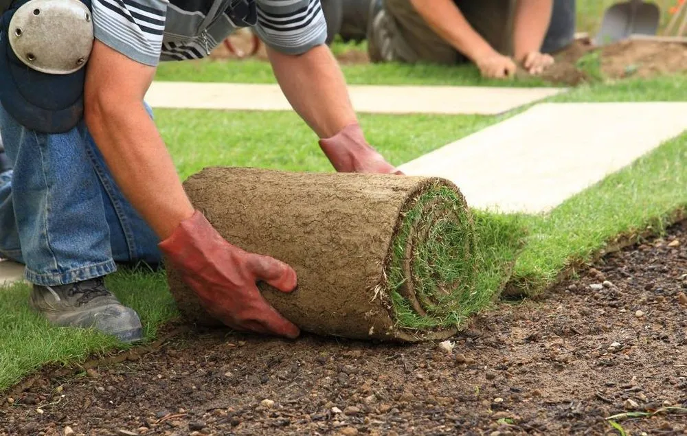 Local landscaping services in Sorrento, FL by Ship's Outdoor Services