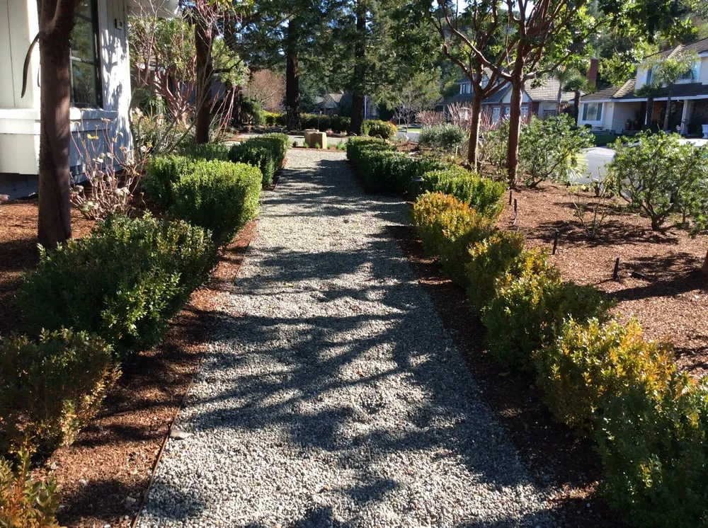 Affordable landscaping services in Oakland, CA - Shirin Bond Landscaping