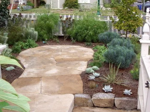 Professional landscape design in Oakland, CA by Shirin Bond Landscaping