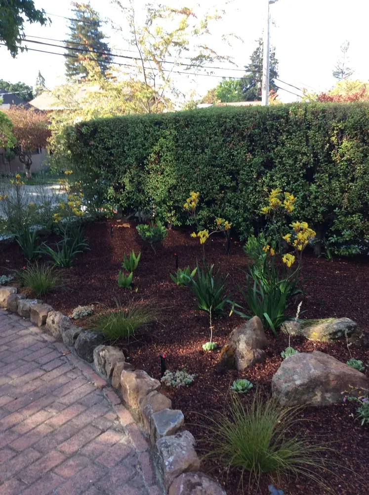 Trusted lawn care service in Oakland, CA - Shirin Bond Landscaping
