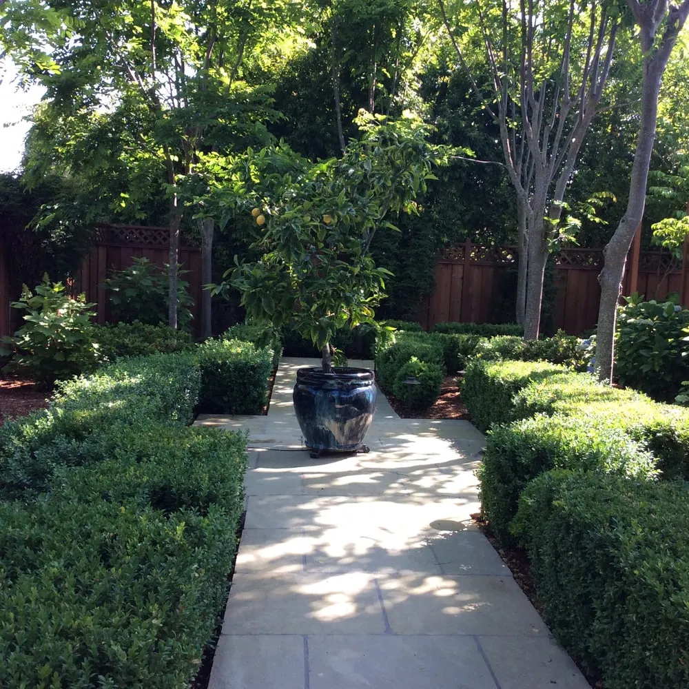 Trusted landscaping services experts serving Oakland, CA - Shirin Bond Landscaping