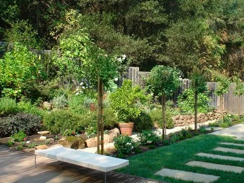 Trusted lawn care service near you in Oakland, CA by Shirin Bond Landscaping