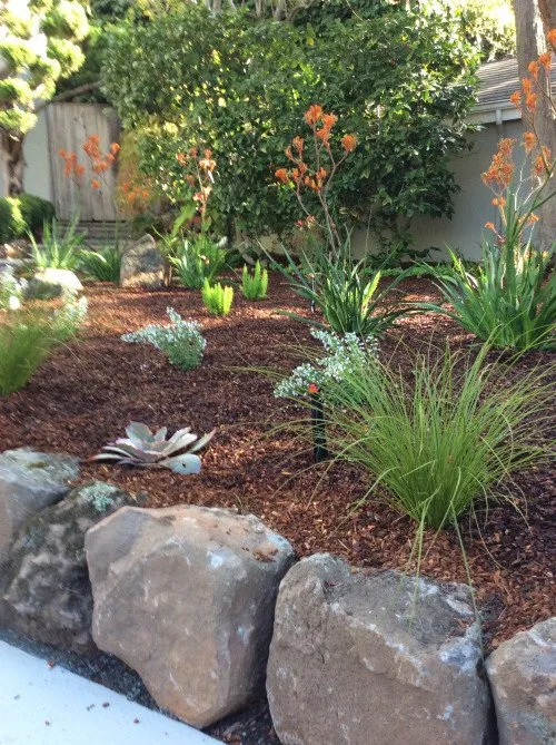 Expert lawn mowing service in Oakland, CA by Shirin Bond Landscaping