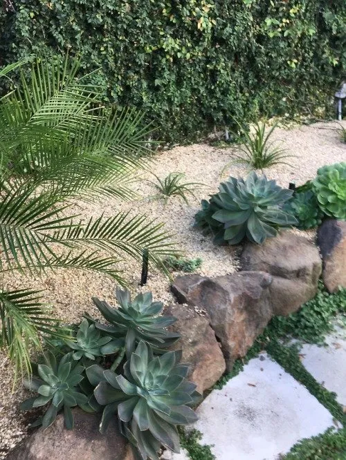 Top-rated landscaping services for outdoor upgrades across Oakland, CA - Shirin Bond Landscaping