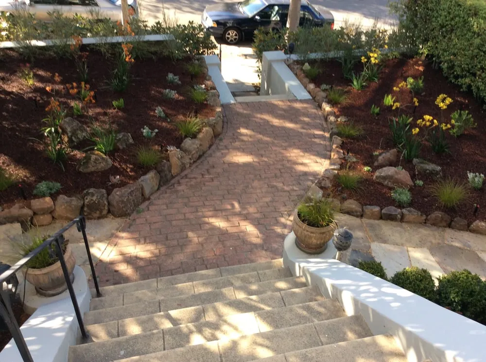 Top-rated landscaping services for beautiful yards in Oakland, CA by Shirin Bond Landscaping