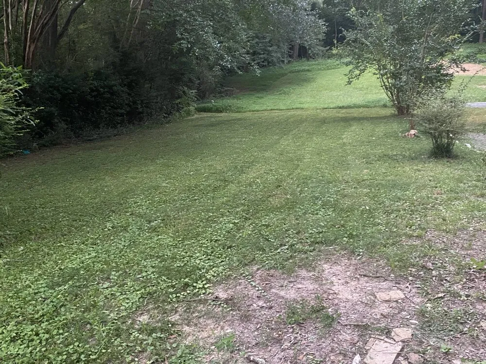 Expert landscape design in Atlanta, GA - SHI's Neighborhood Landscaping