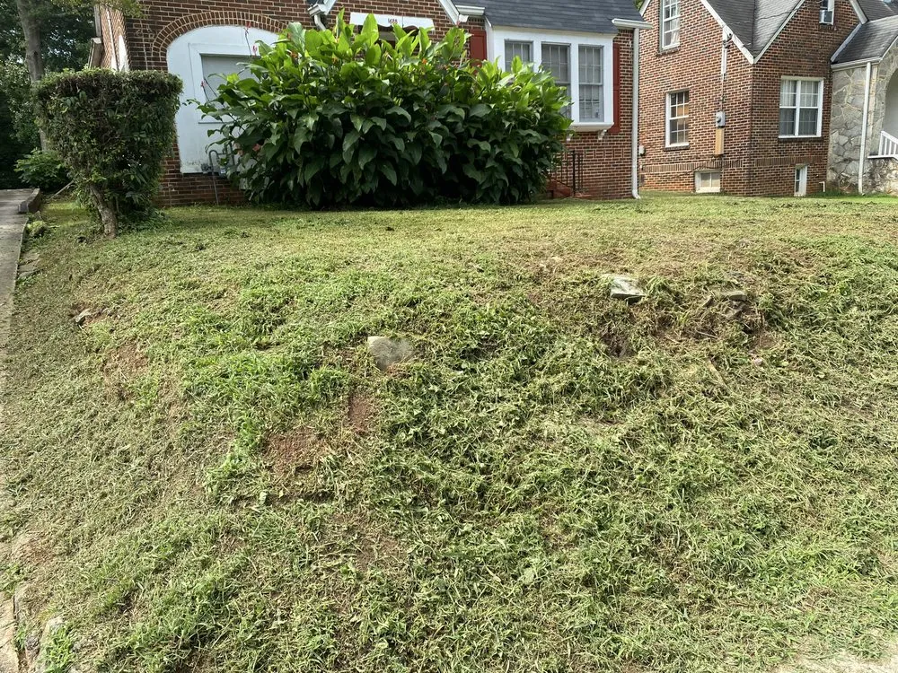 Local outdoor landscaping in Atlanta, GA - SHI's Neighborhood Landscaping