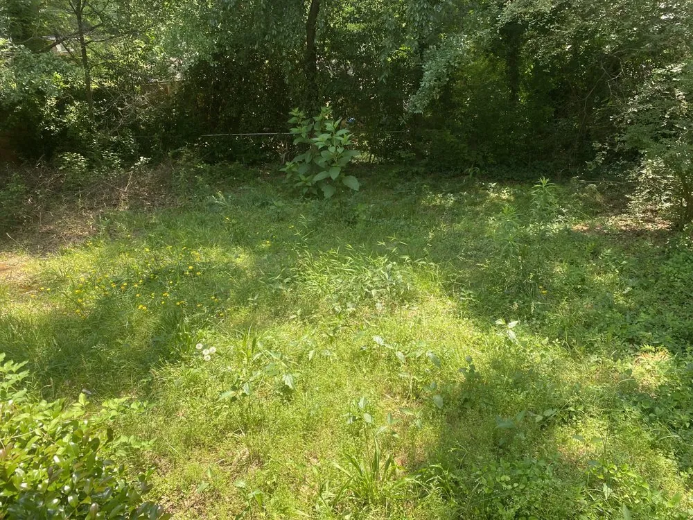 Expert landscaping services for outdoor upgrades in Atlanta, GA by SHI's Neighborhood Landscaping