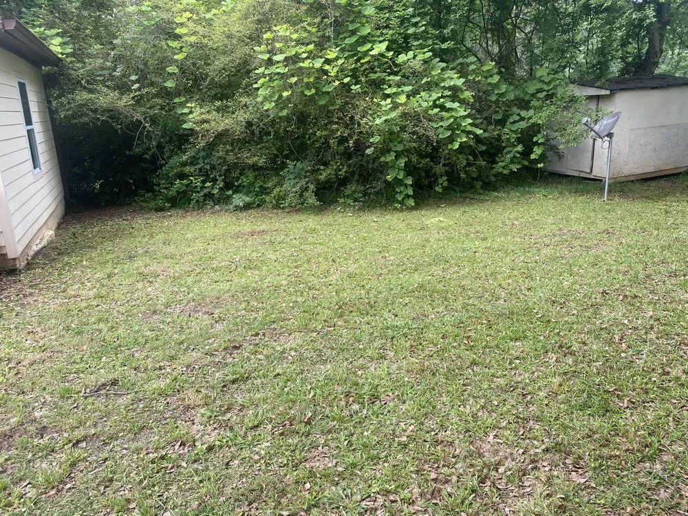 Top-rated yard cleanup service in Atlanta, GA by SHI's Neighborhood Landscaping