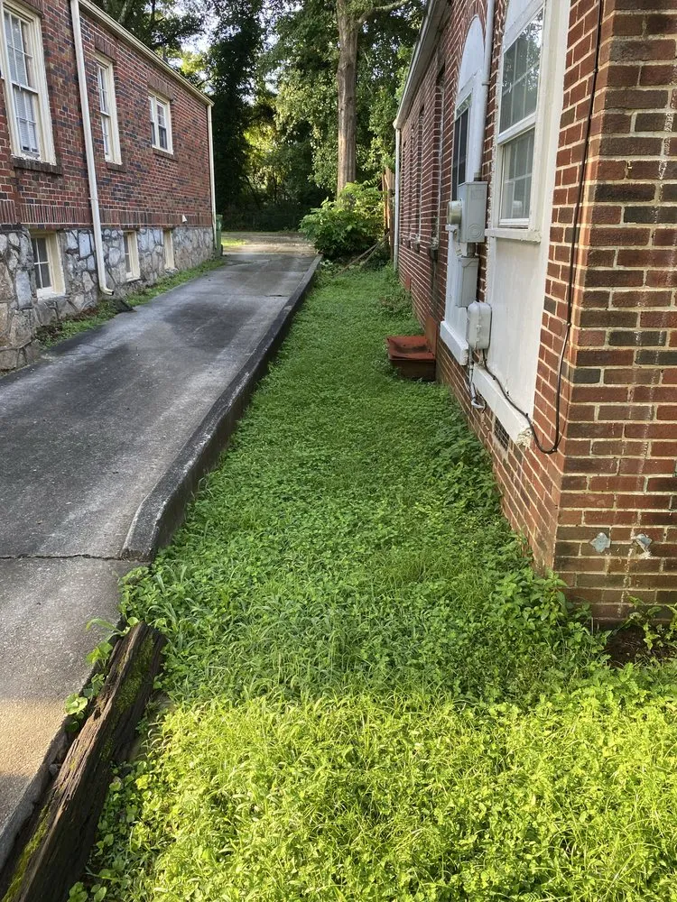 Reliable yard cleanup service in Atlanta, GA - SHI's Neighborhood Landscaping