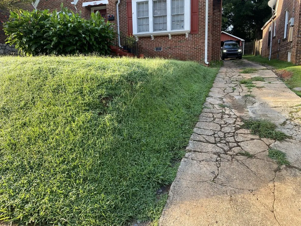 Top-rated landscape installation in Atlanta, GA by SHI's Neighborhood Landscaping