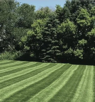 Shively And Sons Lawn And Land Care Logo