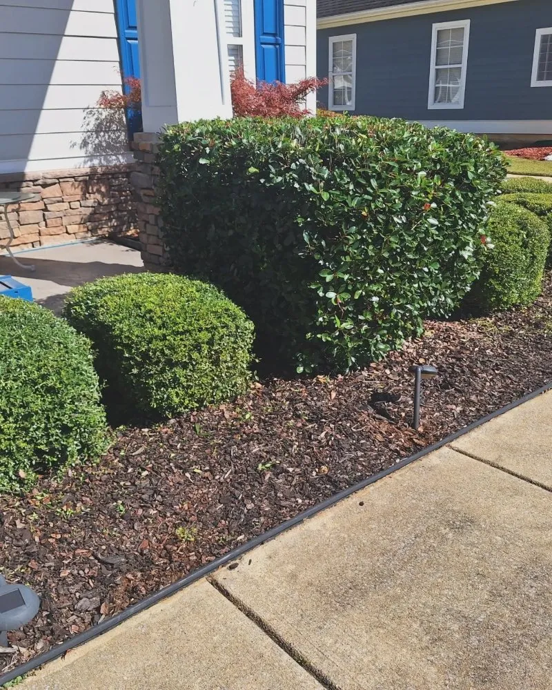 Expert lawn mowing service with custom design across Moody, AL - Shivers Lawncare