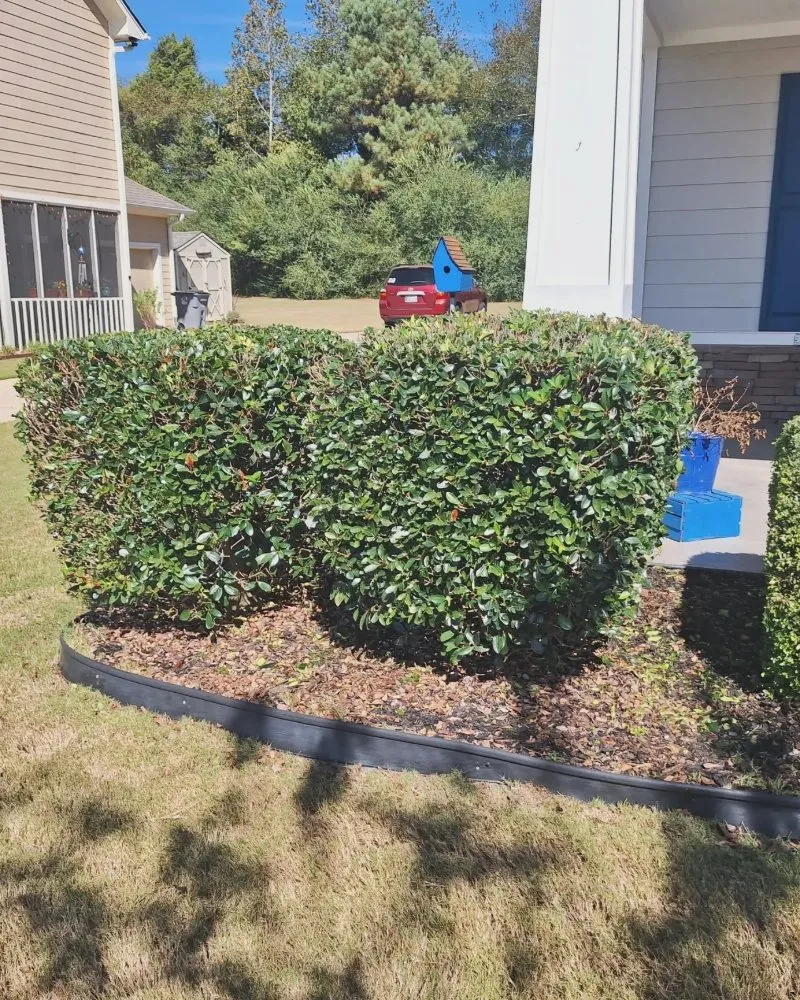 Affordable garden landscaping for year-round maintenance across Moody, AL - Shivers Lawncare