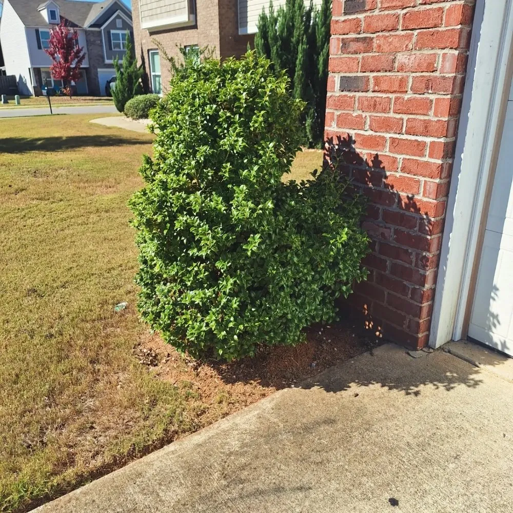 Local landscaping services in Moody, AL - Shivers Lawncare