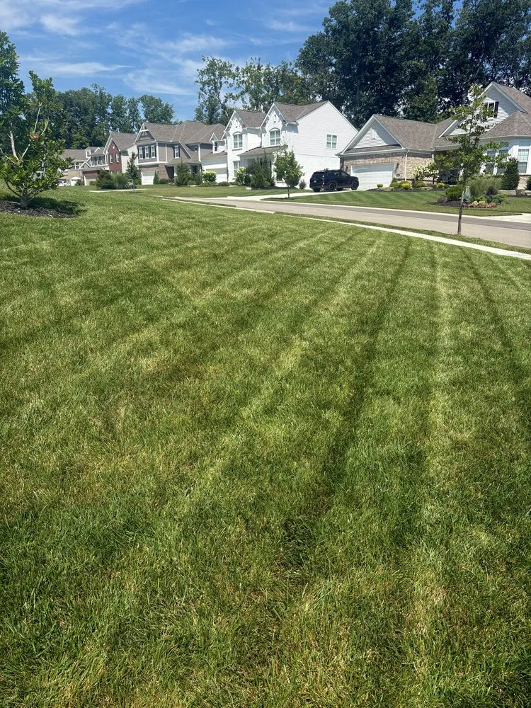 Professional yard cleanup service for year-round maintenance across Loveland, OH - Shiverski Landscaping