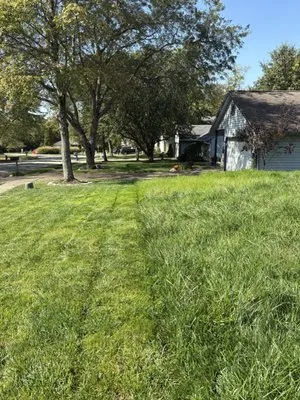 Shiverski Landscaping Logo