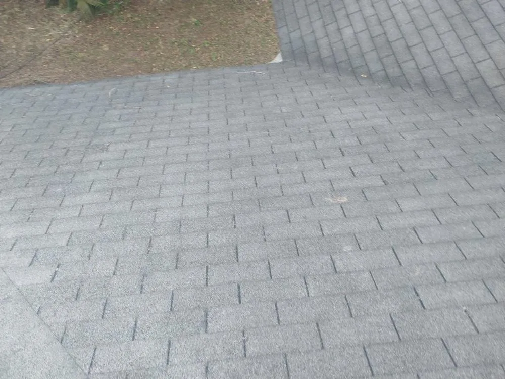 Local outdoor landscaping for year-round maintenance across Pensacola, FL - Shobe’s All Around