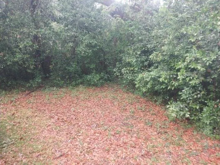 Custom lawn care service in Pensacola, FL - Shobe’s All Around