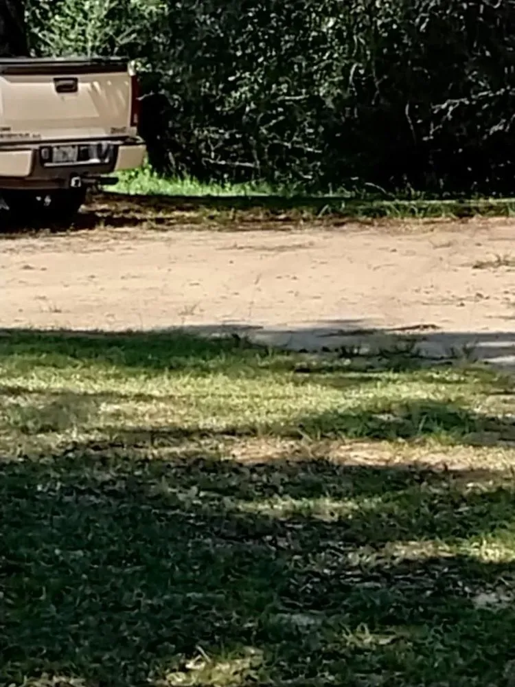 Top-rated yard cleanup service for homes in Pensacola, FL by Shobe’s All Around