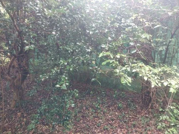 Expert outdoor landscaping experts serving Pensacola, FL - Shobe’s All Around