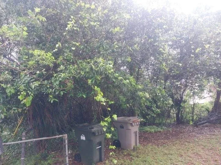 Custom lawn care service for outdoor upgrades in Pensacola, FL by Shobe’s All Around