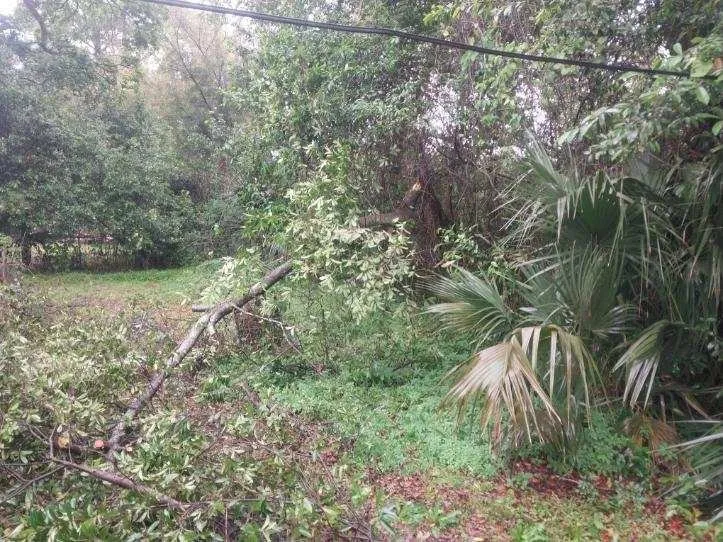 Trusted yard cleanup service in Pensacola, FL by Shobe’s All Around