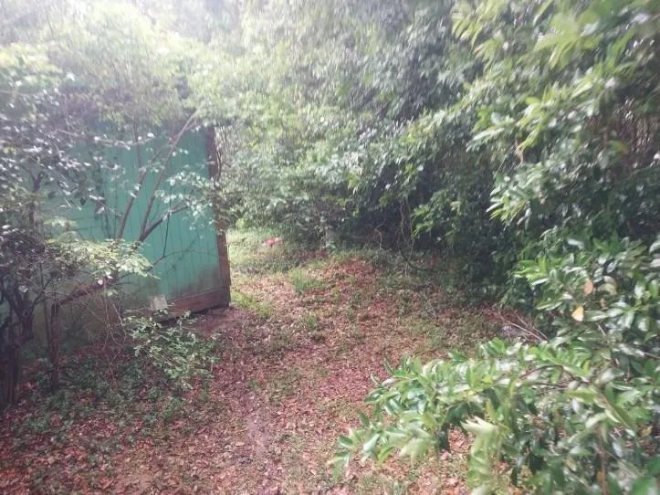 Reliable landscape design for homes in Pensacola, FL by Shobe’s All Around