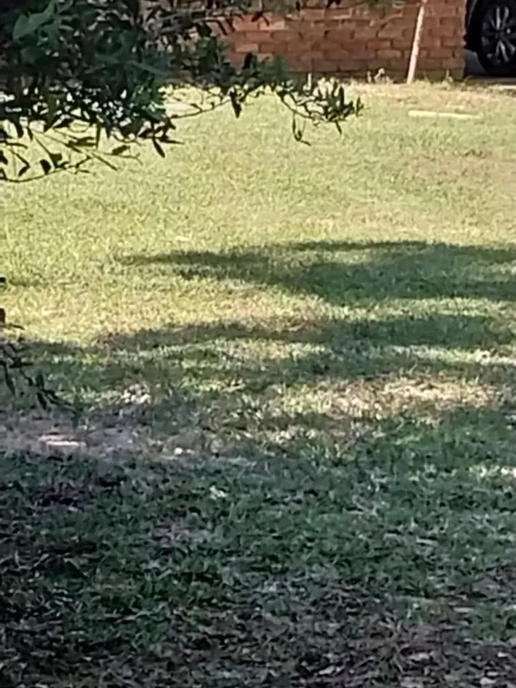 Custom yard maintenance for outdoor upgrades in Pensacola, FL by Shobe’s All Around