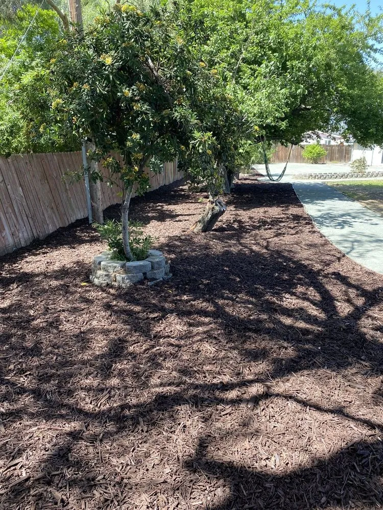 Local outdoor landscaping for residential properties in Santa Maria, CA by Shofar Landscaping & Contracting