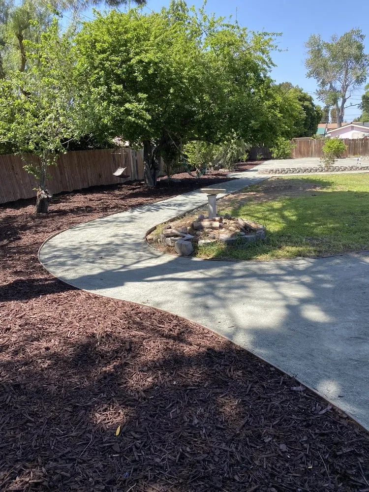 Expert yard cleanup service in Santa Maria, CA by Shofar Landscaping & Contracting