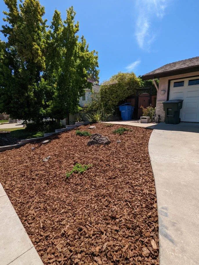 Expert outdoor landscaping in Santa Maria, CA - Shofar Landscaping & Contracting