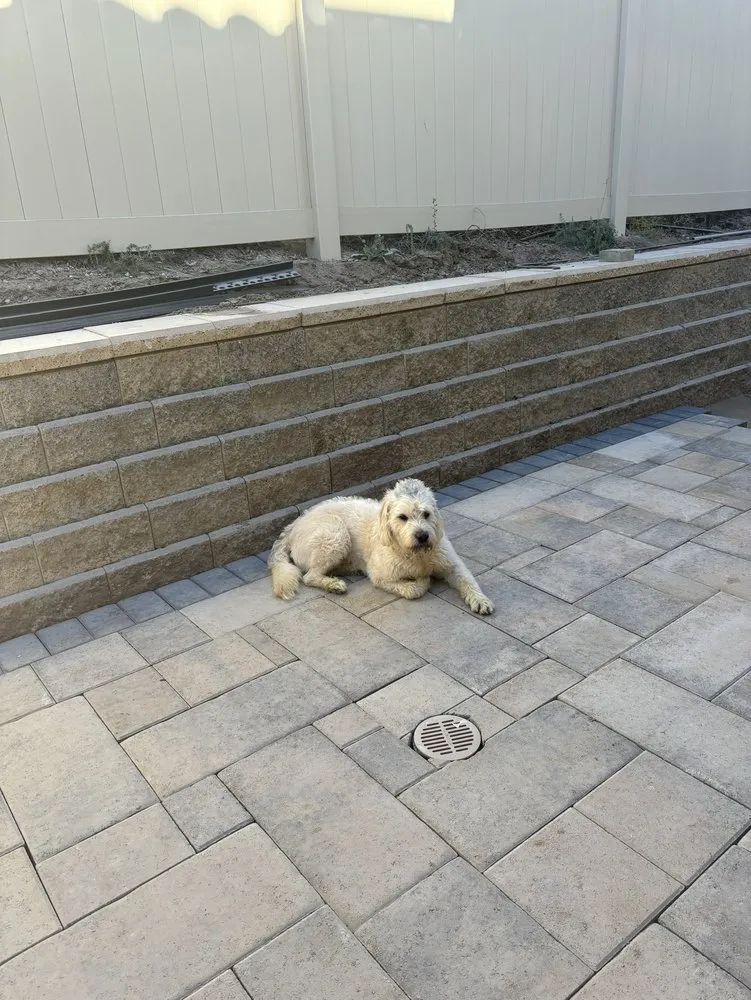 Reliable landscape installation experts serving Santa Maria, CA - Shofar Landscaping & Contracting