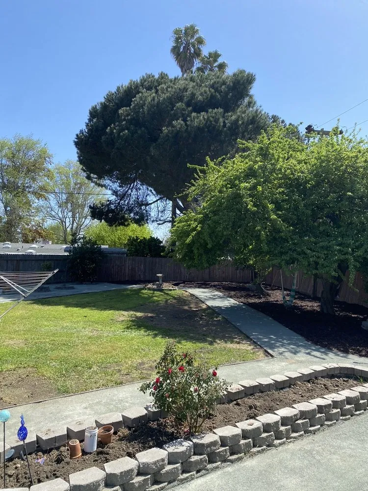 Professional lawn mowing service near you across Santa Maria, CA - Shofar Landscaping & Contracting