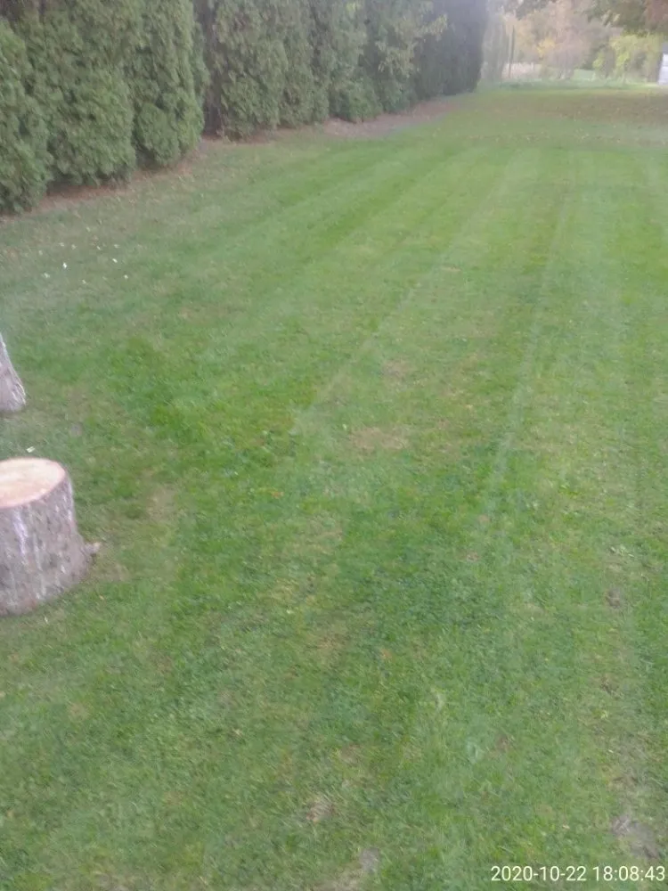 Trusted yard maintenance experts serving Stevens, PA - Shoffs Lawn&Property
