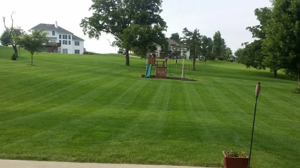 Expert yard cleanup service in Jefferson City, MO - Shofler Lawn Care