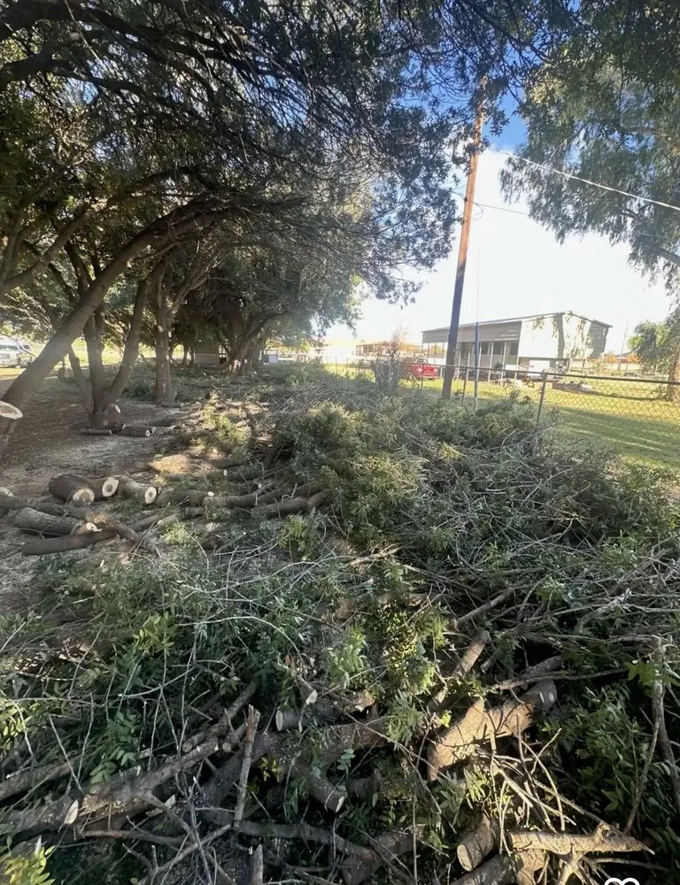 Trusted lawn care service experts serving Mesa, AZ - Shoman's