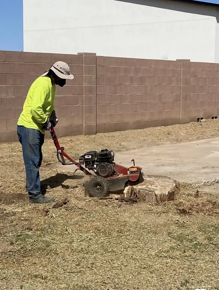 Trusted residential landscaping in Mesa, AZ - Shoman's