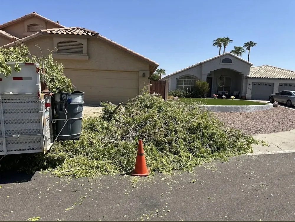 Affordable outdoor landscaping in Mesa, AZ by Shoman's