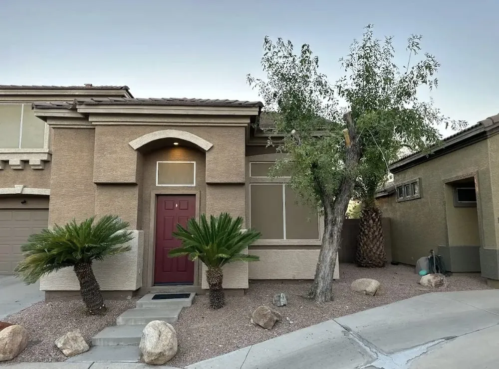 Top-rated yard cleanup service in Mesa, AZ by Shoman's