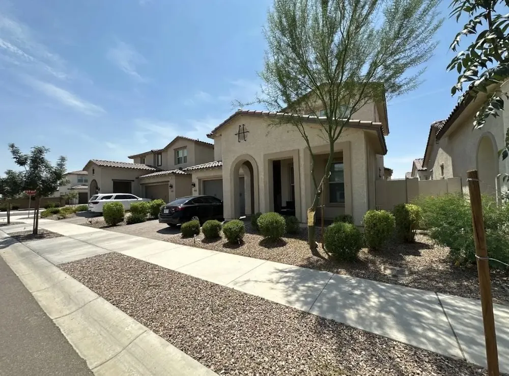 Local landscape design for year-round maintenance across Mesa, AZ - Shoman's