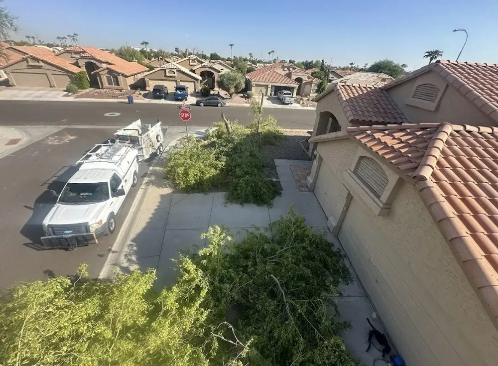 Top-rated landscape design in Mesa, AZ by Shoman's