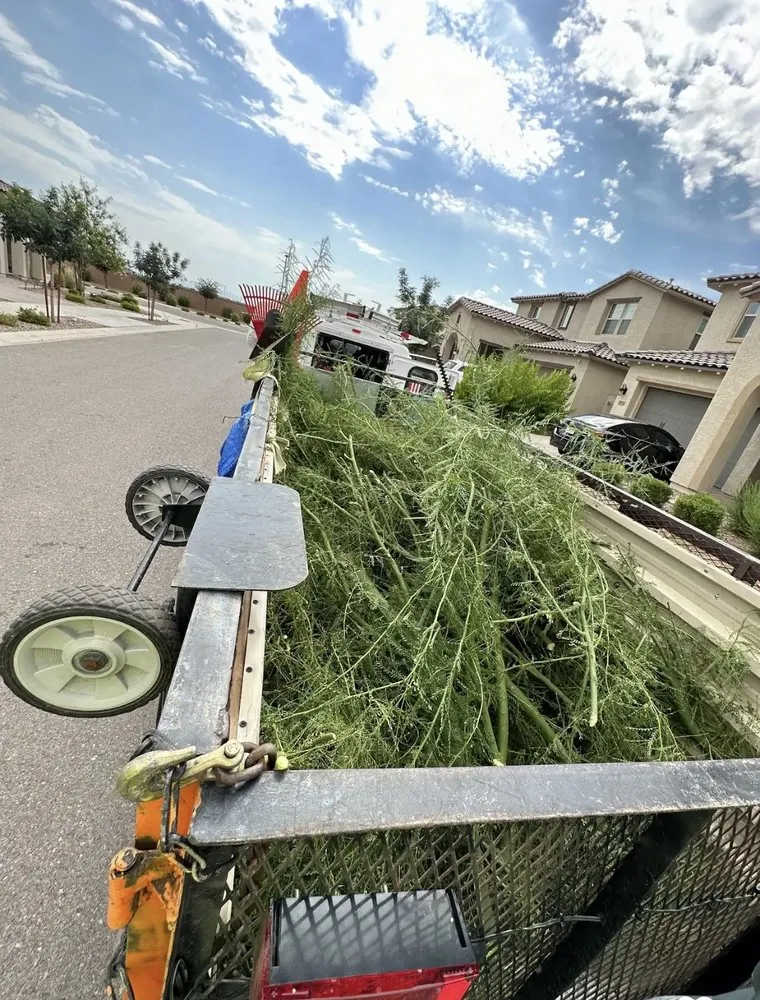 Trusted yard maintenance for residential properties across Mesa, AZ - Shoman's