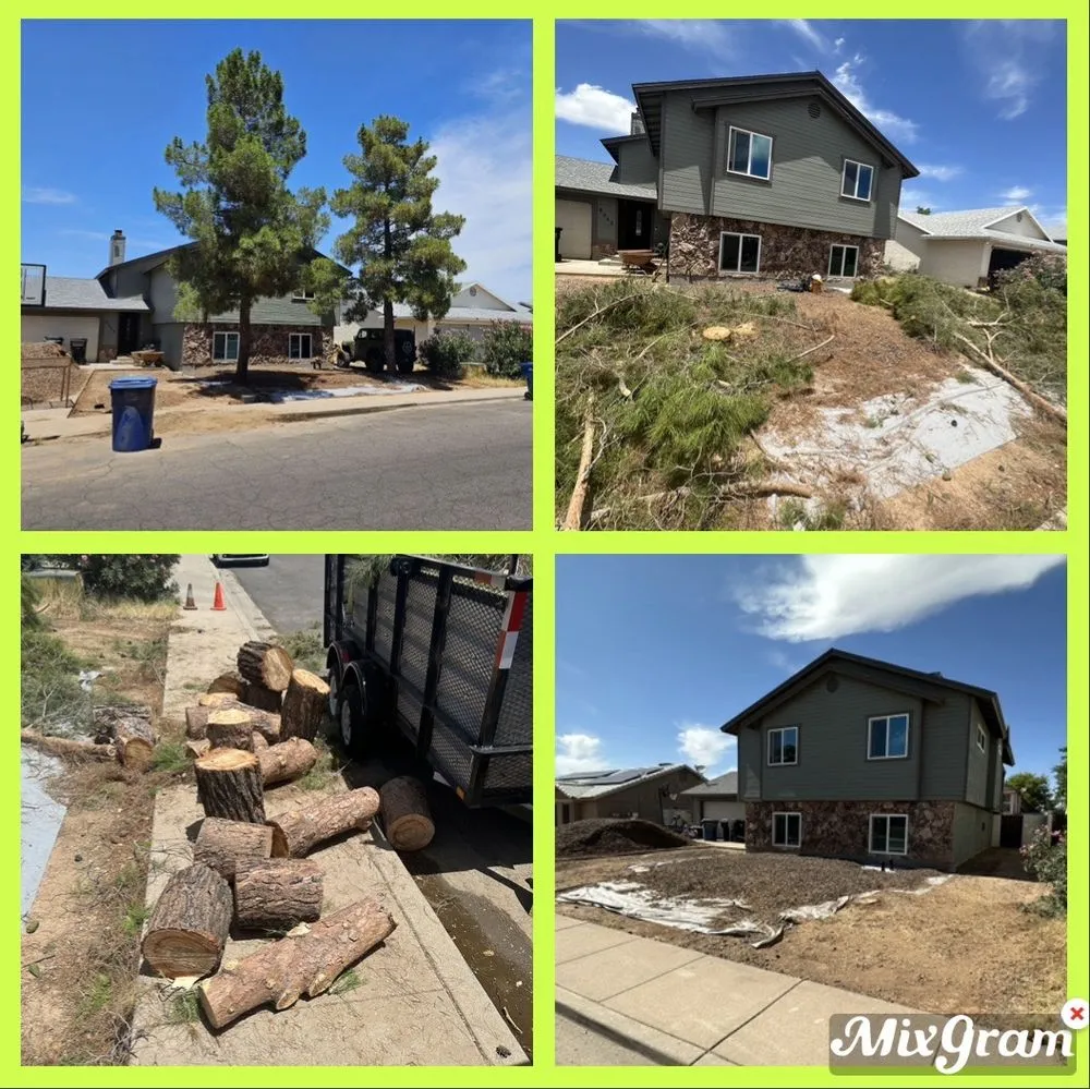 Custom landscape installation for outdoor upgrades across Mesa, AZ - Shoman's
