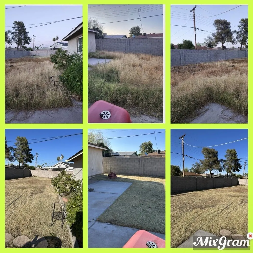 Trusted garden landscaping experts serving Mesa, AZ - Shoman's