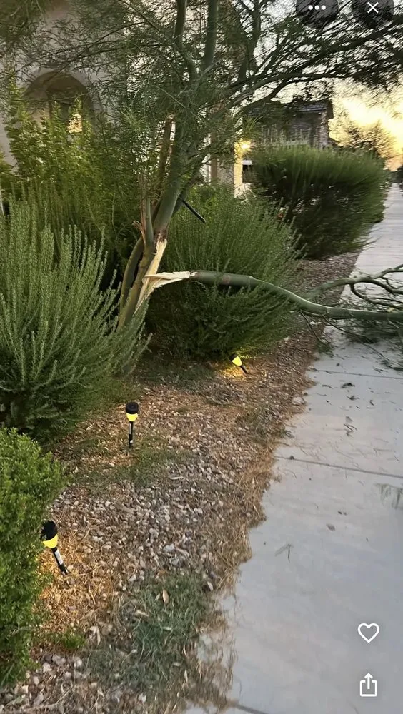 Expert residential landscaping for outdoor upgrades in Mesa, AZ by Shoman's